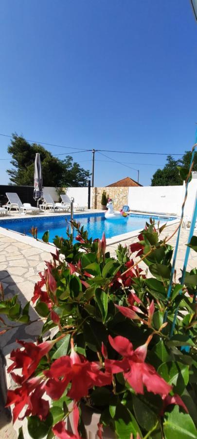 Apartment Elena Galovac  ภายนอก รูปภาพ